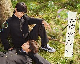 商洛网站优化哪家公司好